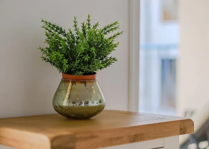 H&o Golden Sunset View *