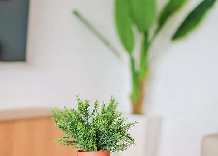 H&o Golden Sunset View Paphos